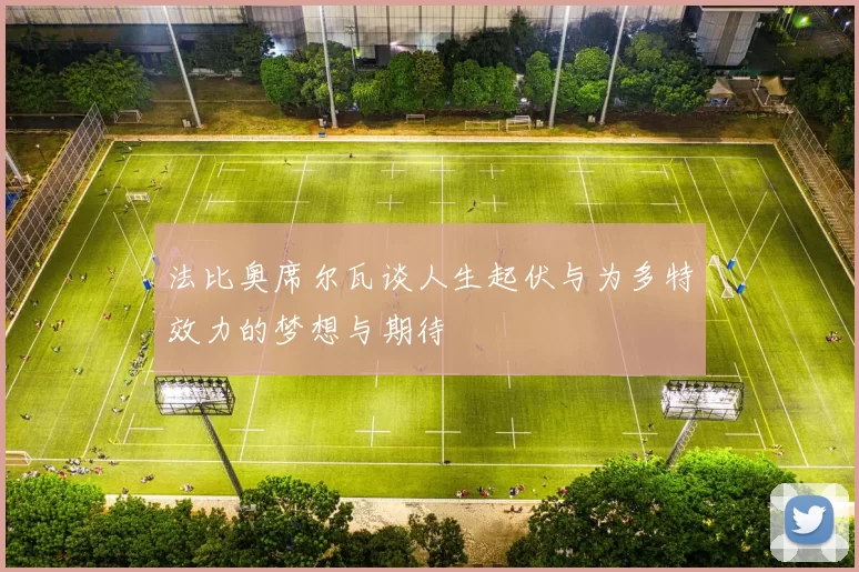 法比奥席尔瓦谈人生起伏与为多特效力的梦想与期待